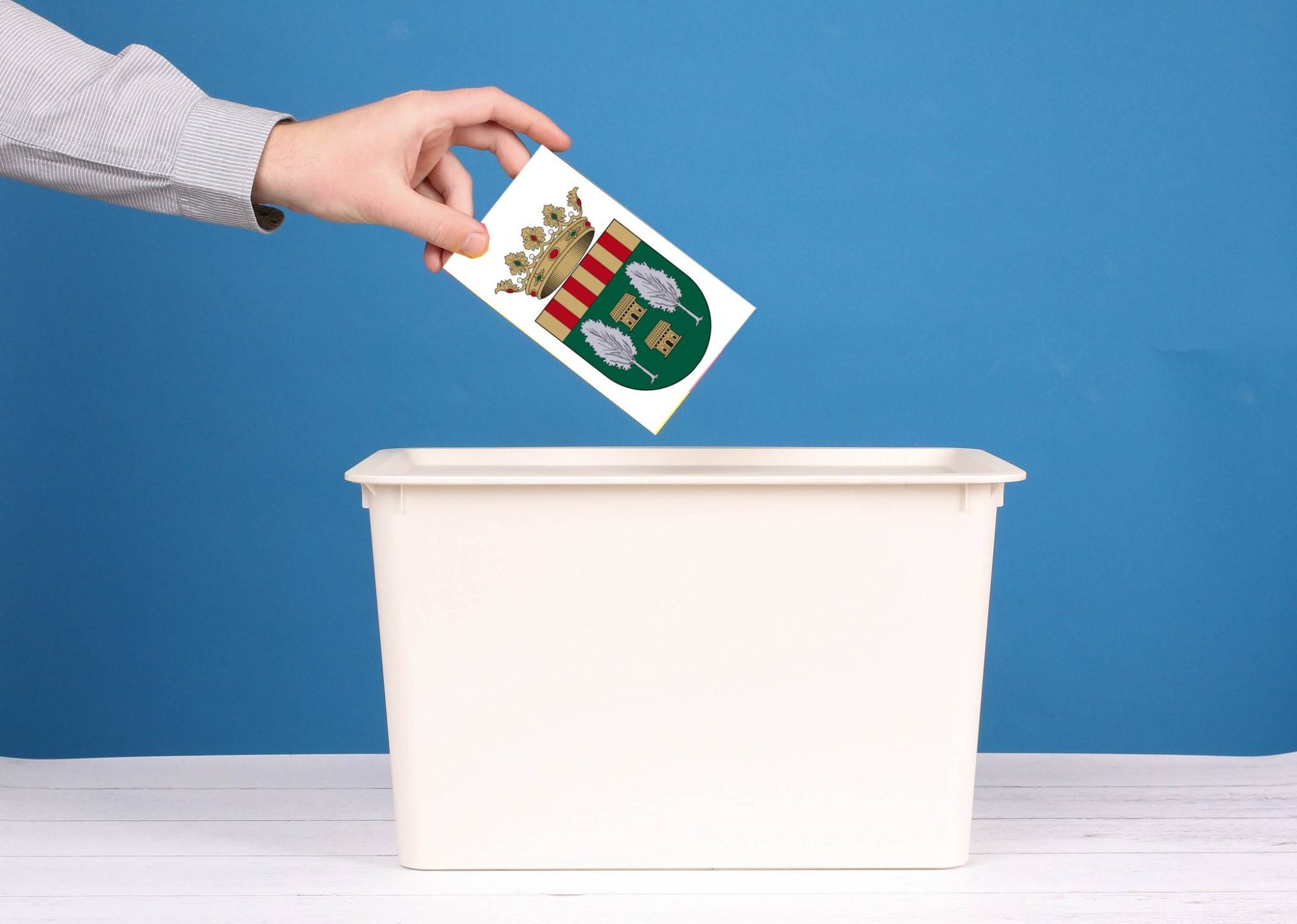 Eleccions al consell escolar